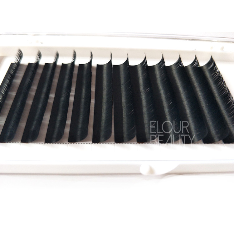 Y-tip cashmere matte ellipse flat eyelash extension wholesale China EL30